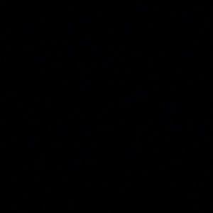 Meet your Posher, Carson